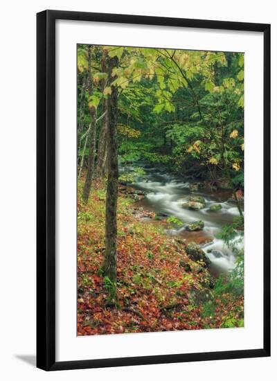 Early Fall Stream, Catskills-Vincent James-Framed Photographic Print