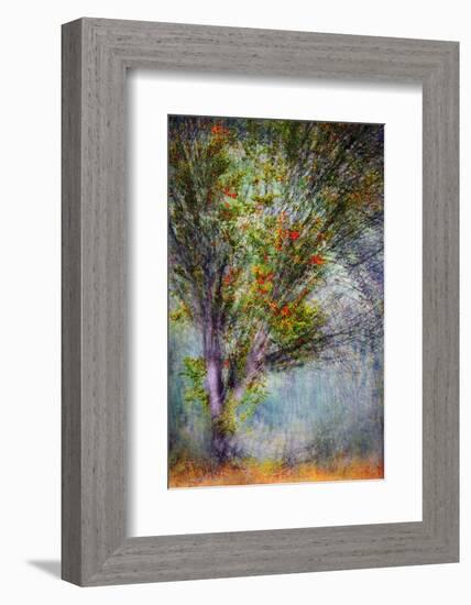 Early Fall Swirl-Ursula Abresch-Framed Photographic Print