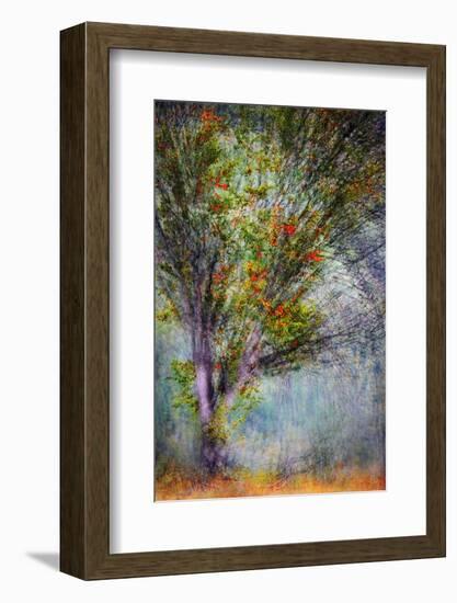 Early Fall Swirl-Ursula Abresch-Framed Photographic Print