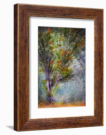 Early Fall Swirl-Ursula Abresch-Framed Photographic Print