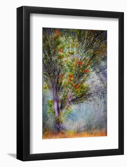 Early Fall Swirl-Ursula Abresch-Framed Photographic Print