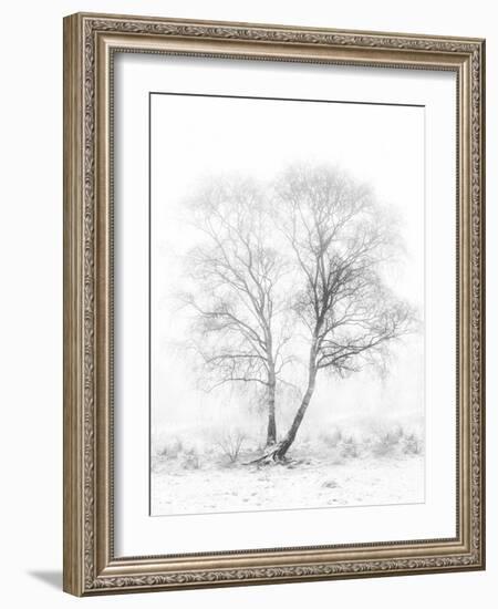 Early in the Morning-Greetje Van Son-Framed Photographic Print
