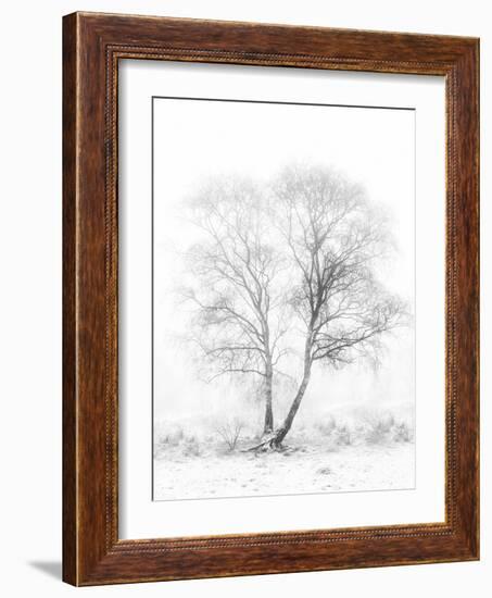 Early in the Morning-Greetje Van Son-Framed Photographic Print