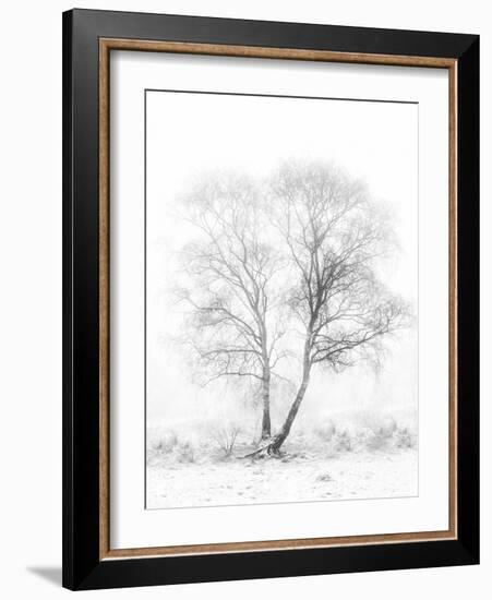 Early in the Morning-Greetje Van Son-Framed Photographic Print