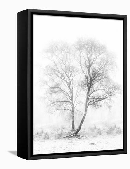 Early in the Morning-Greetje Van Son-Framed Premier Image Canvas