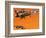 Early Jet-Powered Aircraft-Wilf Hardy-Framed Giclee Print