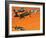 Early Jet-Powered Aircraft-Wilf Hardy-Framed Giclee Print