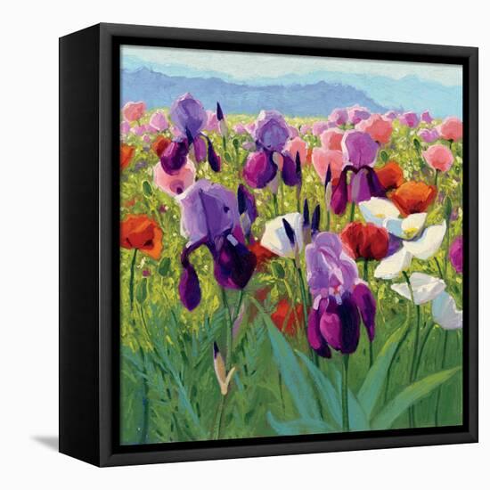 Early June-Shirley Novak-Framed Stretched Canvas