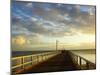 Early Light on Urangan Pier, Hervey Bay, Queensland, Australia-David Wall-Mounted Photographic Print