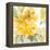 Early May Blooms II-Lanie Loreth-Framed Stretched Canvas