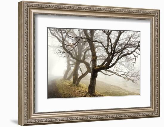 Early Morning Calm-David Winston-Framed Giclee Print