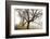 Early Morning Calm-David Winston-Framed Giclee Print