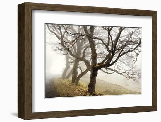 Early Morning Calm-David Winston-Framed Giclee Print