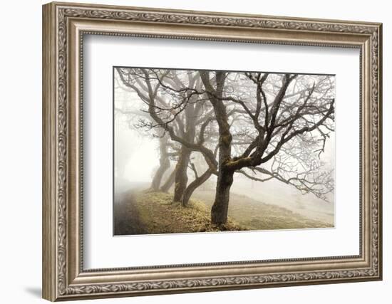 Early Morning Calm-David Lorenz Winston-Framed Art Print