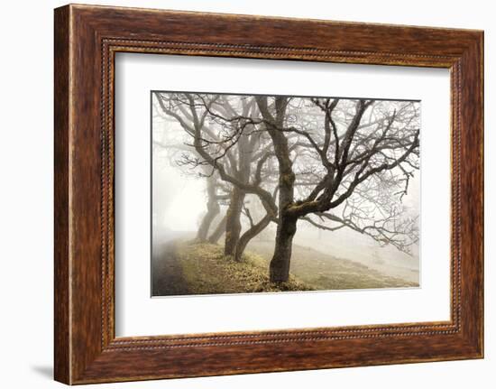 Early Morning Calm-David Lorenz Winston-Framed Art Print