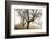 Early Morning Calm-David Lorenz Winston-Framed Art Print