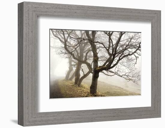 Early Morning Calm-David Lorenz Winston-Framed Art Print