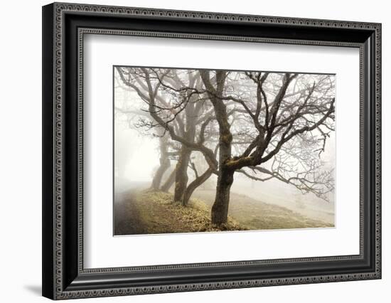 Early Morning Calm-David Lorenz Winston-Framed Art Print