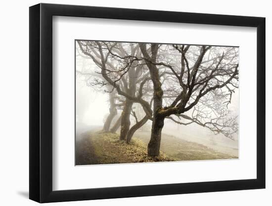 Early Morning Calm-David Lorenz Winston-Framed Art Print