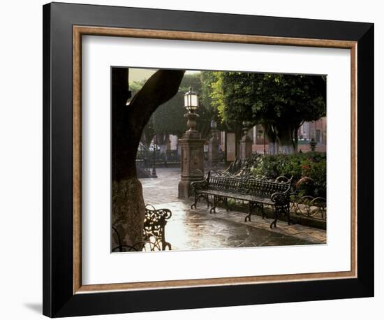 Early Morning, El Jardin, San Miguel de Allende, Mexico-Inger Hogstrom-Framed Photographic Print