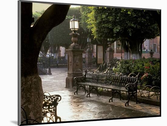 Early Morning, El Jardin, San Miguel de Allende, Mexico-Inger Hogstrom-Mounted Photographic Print