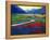 Early Morning Fauve Landscape-Patty Baker-Framed Stretched Canvas