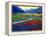 Early Morning Fauve Landscape-Patty Baker-Framed Stretched Canvas