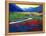 Early Morning Fauve Landscape-Patty Baker-Framed Stretched Canvas