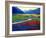 Early Morning Fauve Landscape-Patty Baker-Framed Art Print