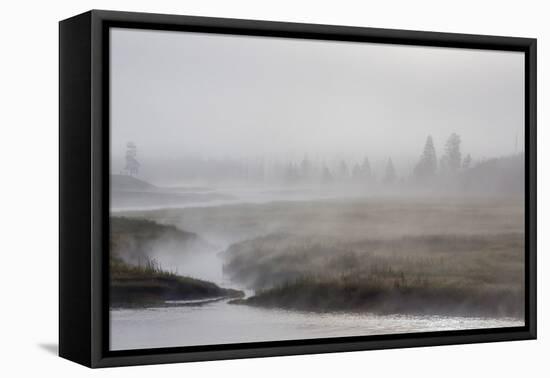 Early Morning Fog Along the Madison River in Yellowstone National Park-Michael Nolan-Framed Premier Image Canvas