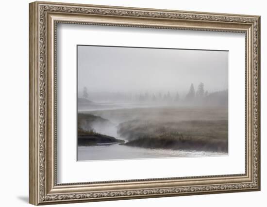 Early Morning Fog Along the Madison River in Yellowstone National Park-Michael Nolan-Framed Photographic Print