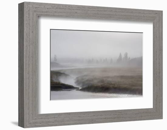 Early Morning Fog Along the Madison River in Yellowstone National Park-Michael Nolan-Framed Photographic Print