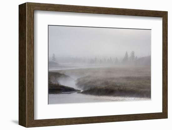 Early Morning Fog Along the Madison River in Yellowstone National Park-Michael Nolan-Framed Photographic Print