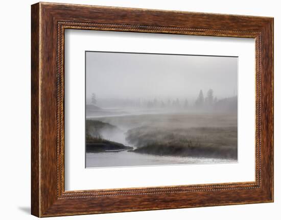 Early Morning Fog Along the Madison River in Yellowstone National Park-Michael Nolan-Framed Photographic Print