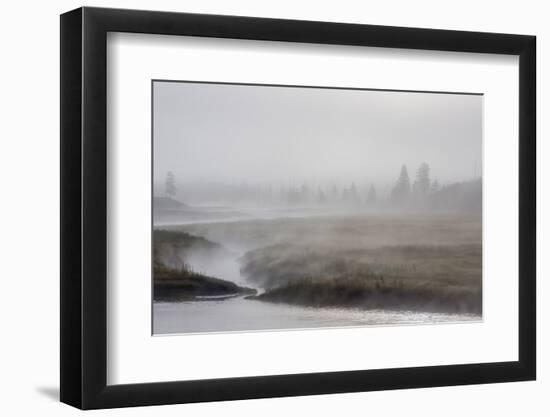 Early Morning Fog Along the Madison River in Yellowstone National Park-Michael Nolan-Framed Photographic Print