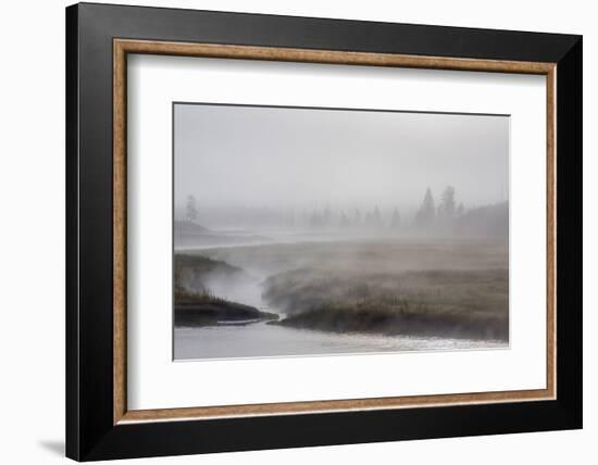 Early Morning Fog Along the Madison River in Yellowstone National Park-Michael Nolan-Framed Photographic Print