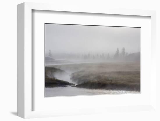 Early Morning Fog Along the Madison River in Yellowstone National Park-Michael Nolan-Framed Photographic Print