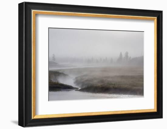 Early Morning Fog Along the Madison River in Yellowstone National Park-Michael Nolan-Framed Photographic Print