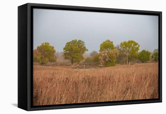 Early morning fog in the Flint Hills of Kansas-Michael Scheufler-Framed Premier Image Canvas