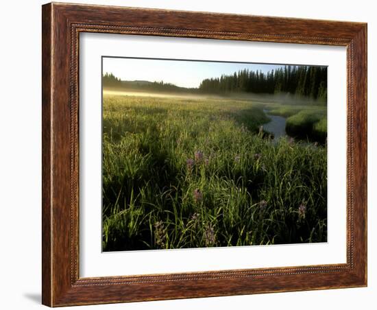 Early Morning Fog on Packer Meadows, Montana, USA-Chuck Haney-Framed Photographic Print