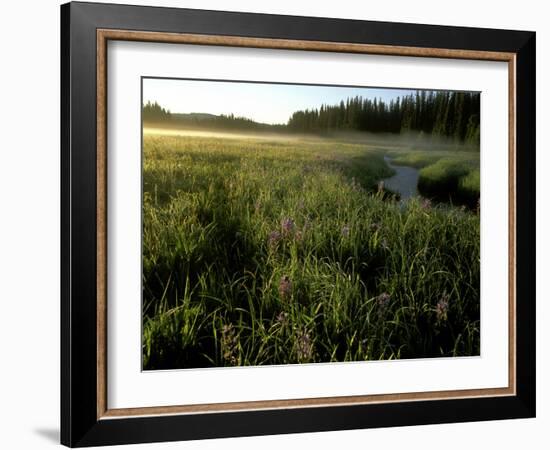 Early Morning Fog on Packer Meadows, Montana, USA-Chuck Haney-Framed Photographic Print