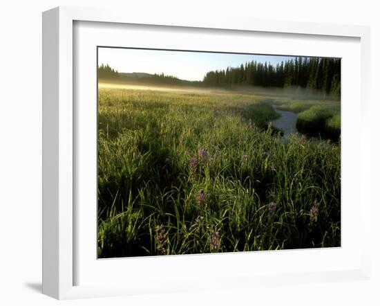 Early Morning Fog on Packer Meadows, Montana, USA-Chuck Haney-Framed Photographic Print