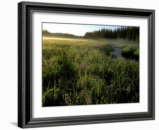 Early Morning Fog on Packer Meadows, Montana, USA-Chuck Haney-Framed Photographic Print