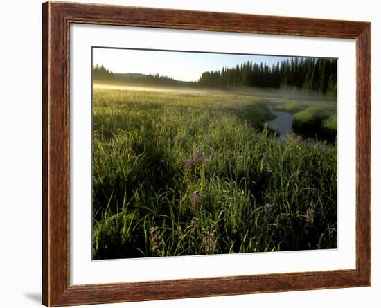 Early Morning Fog on Packer Meadows, Montana, USA-Chuck Haney-Framed Photographic Print
