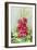 Early Morning Hollyhock-Joanne Porter-Framed Giclee Print