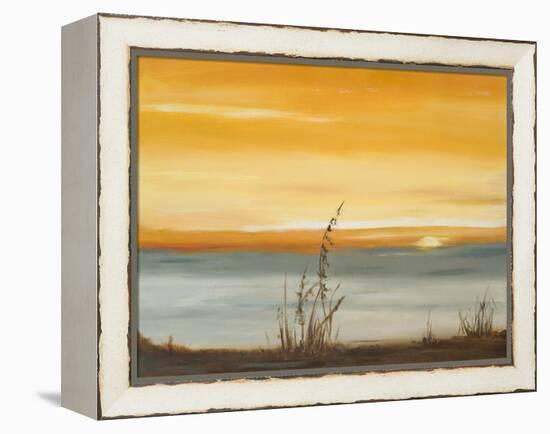 Early Morning I-Nelly Arenas-Framed Stretched Canvas