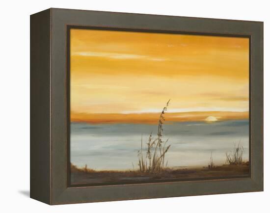 Early Morning I-Nelly Arenas-Framed Stretched Canvas