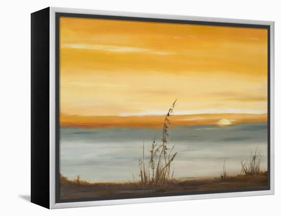 Early Morning I-Nelly Arenas-Framed Stretched Canvas