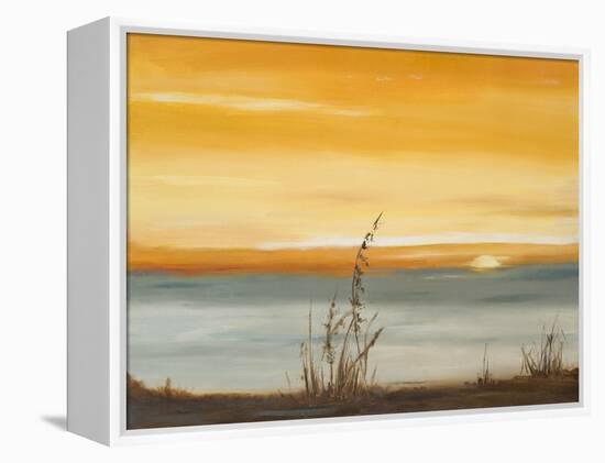 Early Morning I-Nelly Arenas-Framed Stretched Canvas