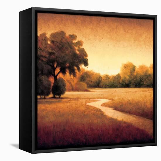 Early Morning I-Gregory Williams-Framed Stretched Canvas